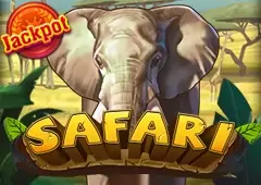 Safari